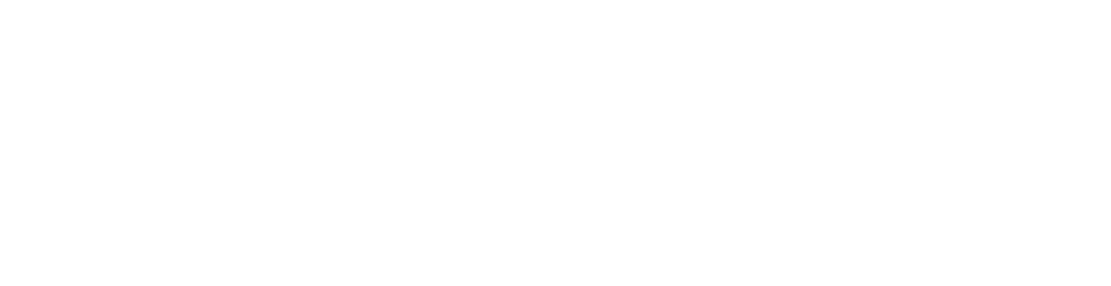 Logo APIDEWA